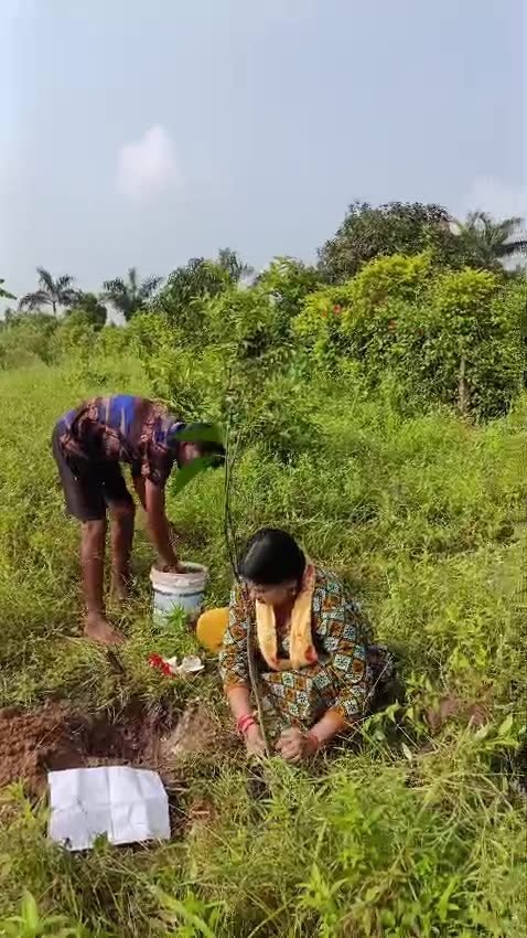 Planting saplings from the Taara seva